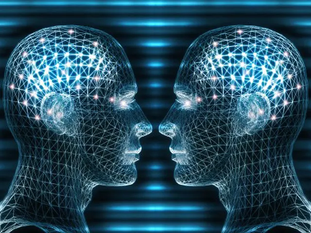 Cérebros de pessoas que conversam ficam sincronizados