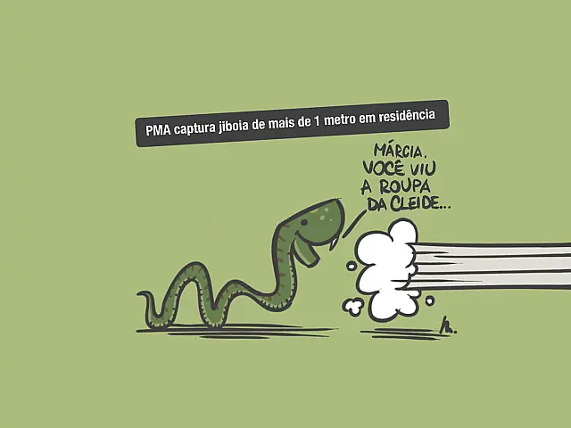 Vizinha