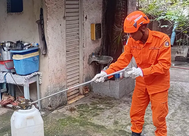 Bombeiros capturam sucuri de 3 metros dentro de cozinha em residência de Ladário