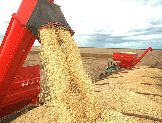 MS já colheu 41,5% de área de milho 2ª safra, informa Aprosoja