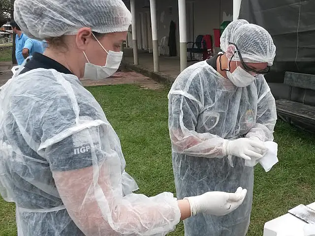 Duas peritas de Aquidauana ajudam a identificar vítimas de naufrágio