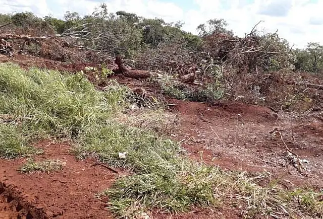 Idoso é multado em R$ 15 mil por degradas área ambiental em Maracaju