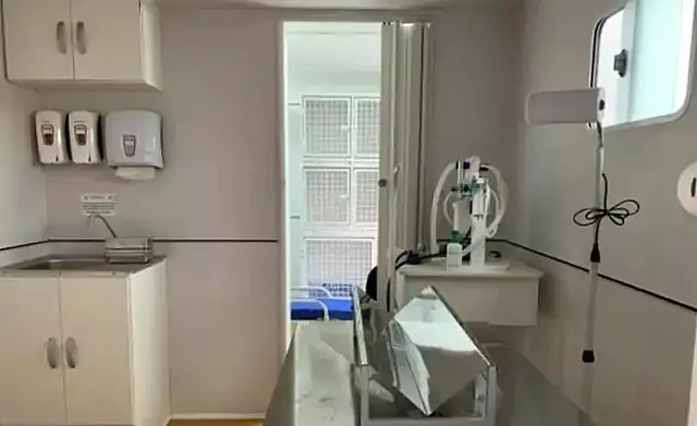 Cães com agendamento no Castramóvel devem ter teste de leishmaniose