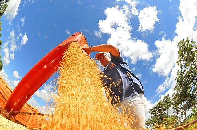 MS fecha 2024 com superávit de US$ 7,1 bilhões na balança comercial