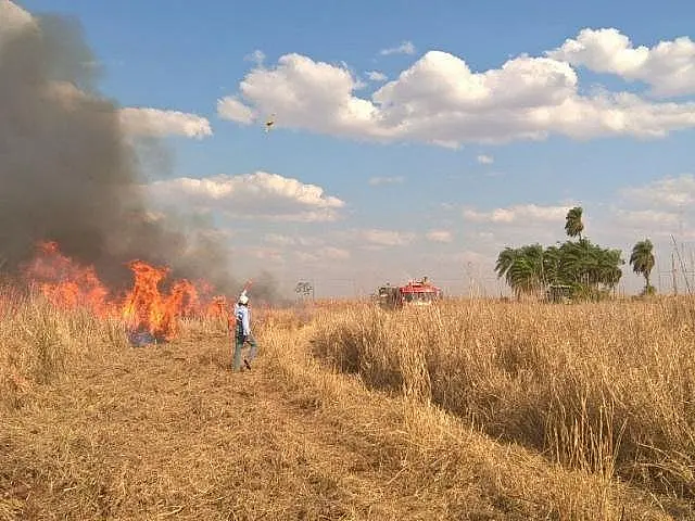 Incêndio em fazenda obrigou Defesa Civil a evacuar escola com 140 alunos
