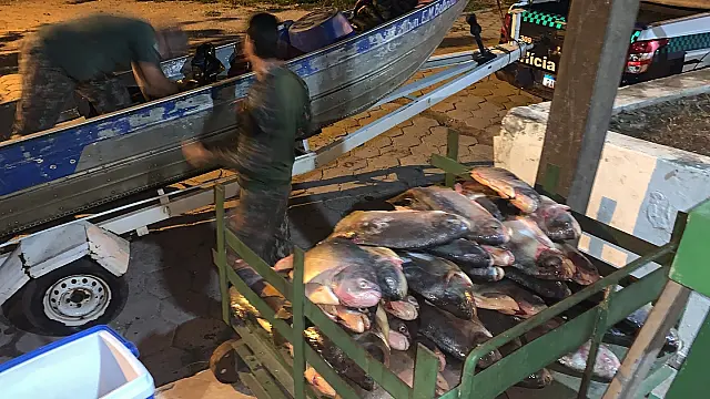 Pescador é preso com 279 kg no Rio Paraguai e é autuado em R$ 6,3 mil