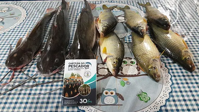 Flagrado com 10kg de pescado, homem tem barco apreendido no Rio Paraná