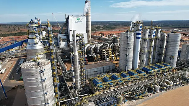 Fábrica abre vagas em Ribas do Rio Pardo nas áreas industrial e florestal