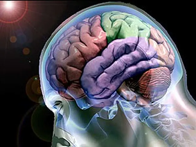 Cientistas usam ondas cerebrais para descobrir ataques terroristas antes que aconteçam