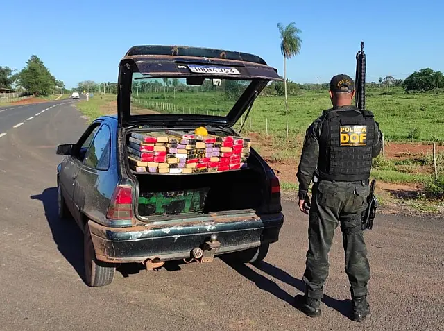 Avaliada em R$ 134 mil, droga que tinha como destino Aquidauana é apreendida pelo DOF