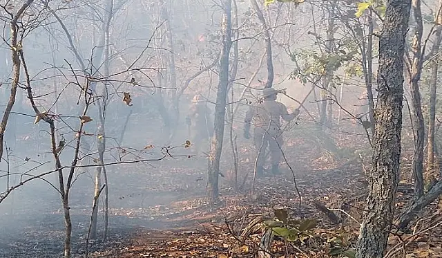 "Queima controlada" no Pantanal está suspensa até 30 de outubro