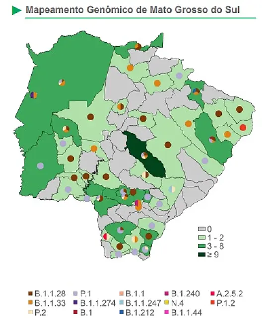 Mapeamento genômico revela pelo menos 14 variantes da Covid-19 em Mato Grosso do Sul