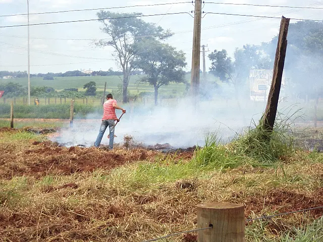 PMA flagra e autua infrator que incendiava terreno em perímetro urbano
