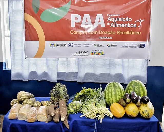 Prefeitura, PAA e Governo Federal e de MS entregam 06 toneladas de alimentos para famílias atendidas