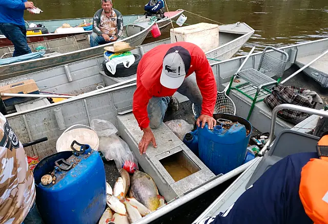 Operação percorre 780 km de rios e apreende 248 kg de pescados ilegais