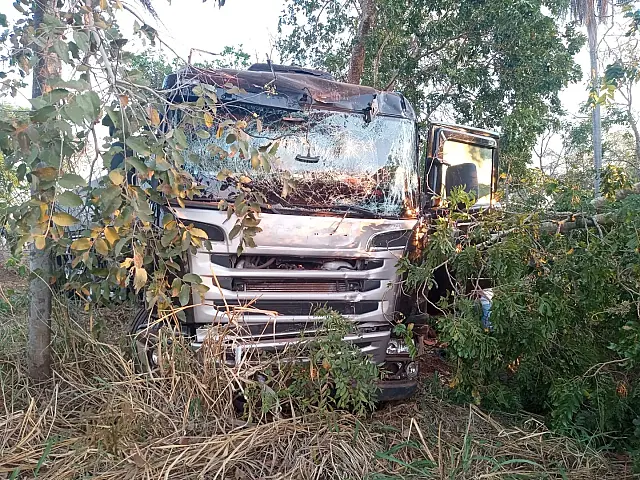 Direção de carreta quebra e carreta para dentro de mata às margens da rodovia