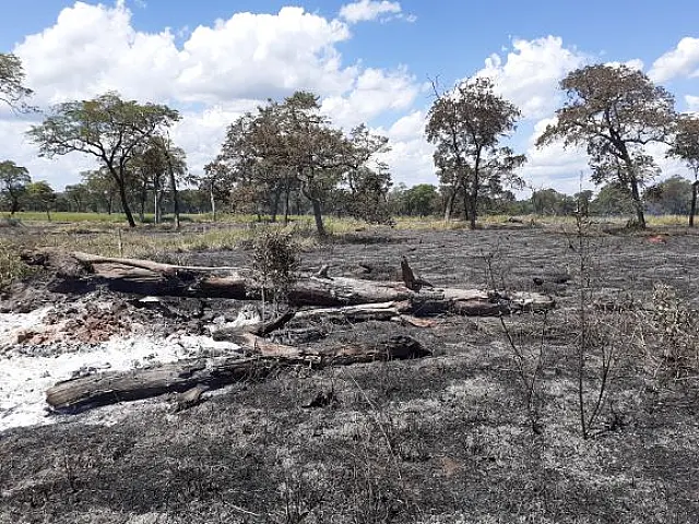 Agricultora é multada em R$ 19,5 por incêndio em região agrícola de Aquidauana