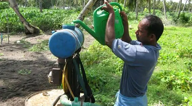 Com aumento das intoxicações, uso de agrotóxicos será tema de seminário