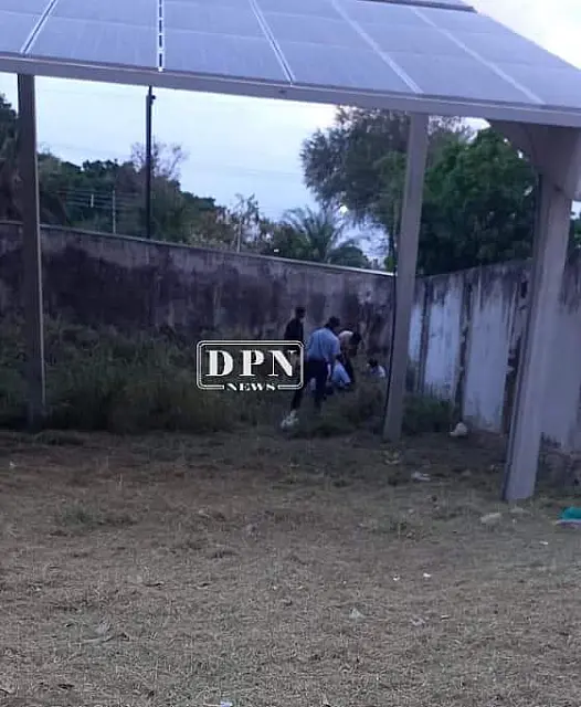 Trabalhadores encontram corpo em meio a matagal em Corumbá