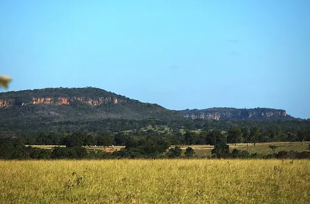MS tem previsão de sol e baixa umidade relativa do ar nesta quarta