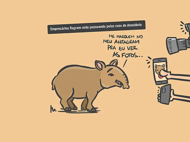 Paparazzis