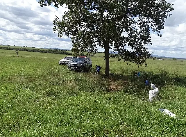 Trabalhador rural morre após ser atacado por abelhas