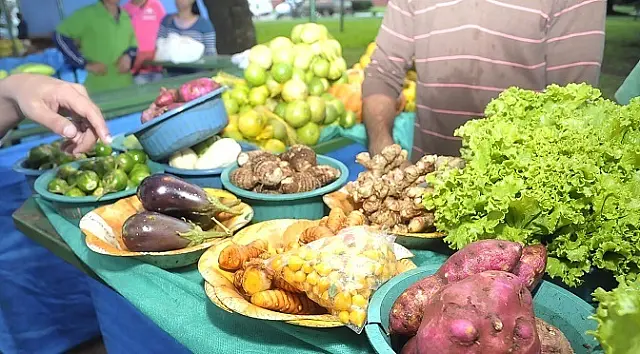 Agricultores familiares de Anastácio receberão kits feira do Governo Federal