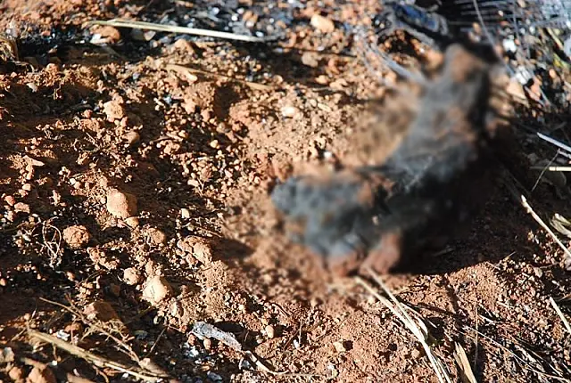 Familiares voltam a local de acidente e encontram mão de uma das vítimas fatal
