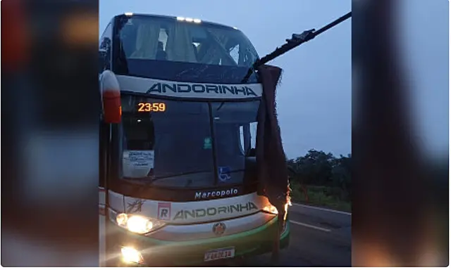 Peça solta de caminhão causa da tragédia na BR-262