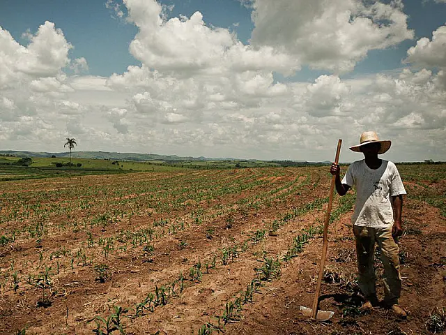 Reforma agrária: auditoria revela um mar de lama