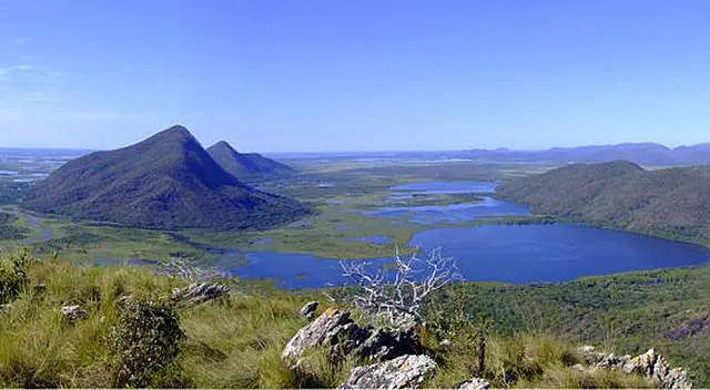 Em homenagem a ambientalista, Dia do Pantanal é comemorado neste domingo