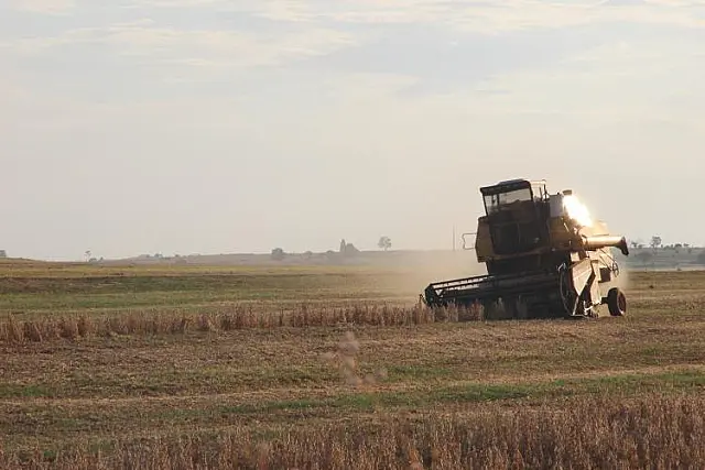 Em etapa final de colheita, saca da soja apresenta alta de 18% nesta safra