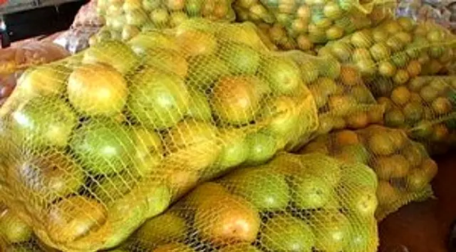 Com amor e muito trabalho agricultores provam que acidez fica apenas no sabor da fruta