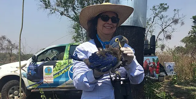 Bióloga de MS dedicou 30 anos a projeto, tirou Arara Azul da lista de animais em extinção e é indicada a prêmio nacional