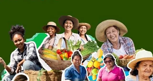 Mutirão de documentação atenderá população rural de Bonito