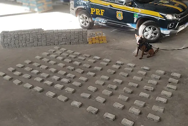 PRF apreende 386 kg de cocaína escondidos em carga de cimento na BR-262