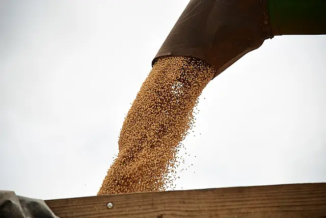 Soja e milho puxam alta de 13% no resultado do PIB agropecuário no Brasil