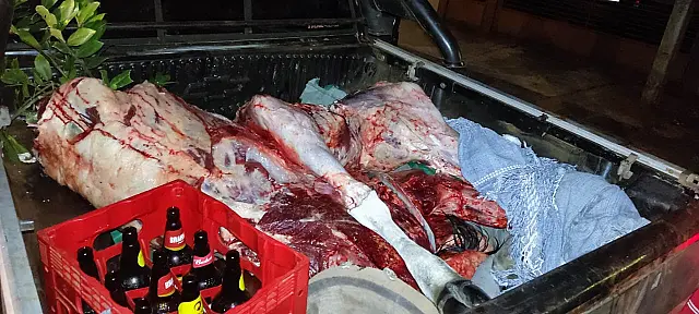 Duas pessoas são presas por abate de gado furtado em Terenos