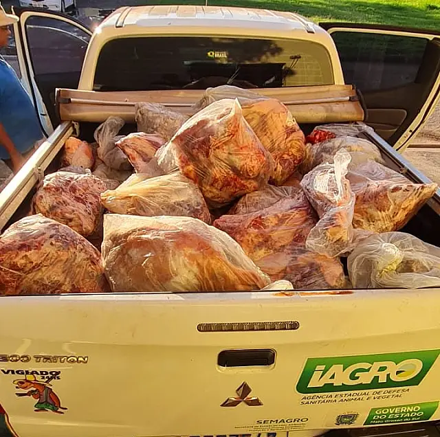 Polícia Civil e Iagro apreendem 977 kg de carne em Porto Murtinho