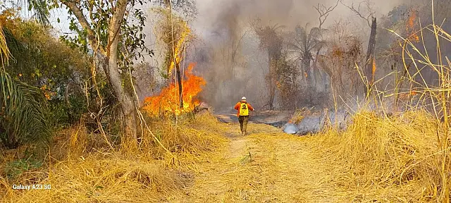 Equipes seguem em combate em incêndio próximo à Serra do Amolar