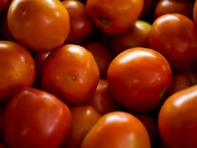 Consumidores e comerciantes reclamam do preço do tomate