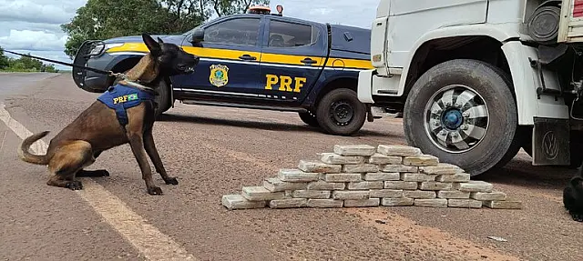PRF apreende 36 Kg de cocaína em Água Clara