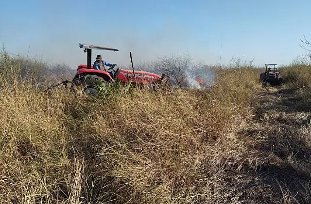 Mais de 80 bombeiros combatem incêndio no Pantanal