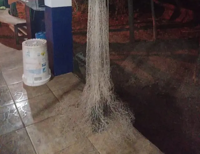 Dupla é presa por pesca predatória no Rio Aquidauana