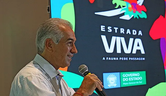 Governo cria orientações para reduzir o atropelamento de animais nas rodovias