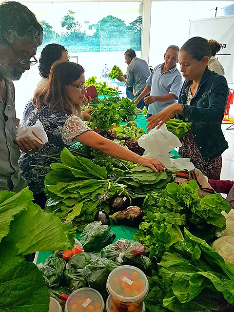 Embrapa e FAO discutem abastecimento alimentar na fronteira