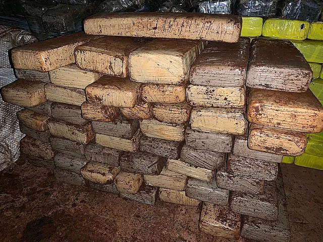 Polícia desenterra 40 quilos de maconha escondidos em chiqueiro