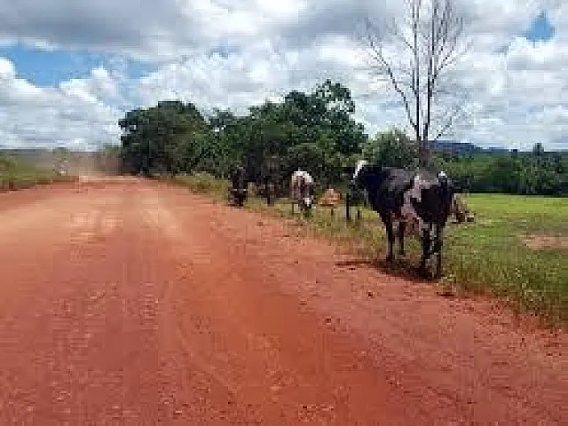 Agesul faz tomada de preço para construção de ponte em Cipolândia