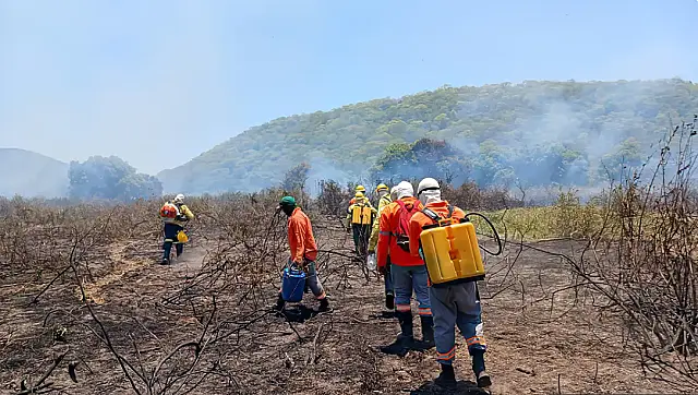 Incêndio no Pantanal está controlado, diz Instituto Homem Pantaneiro
