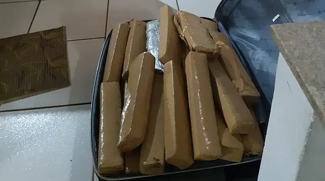 PRF apreende 52 kg de maconha com menor de idade em ônibus na BR-163